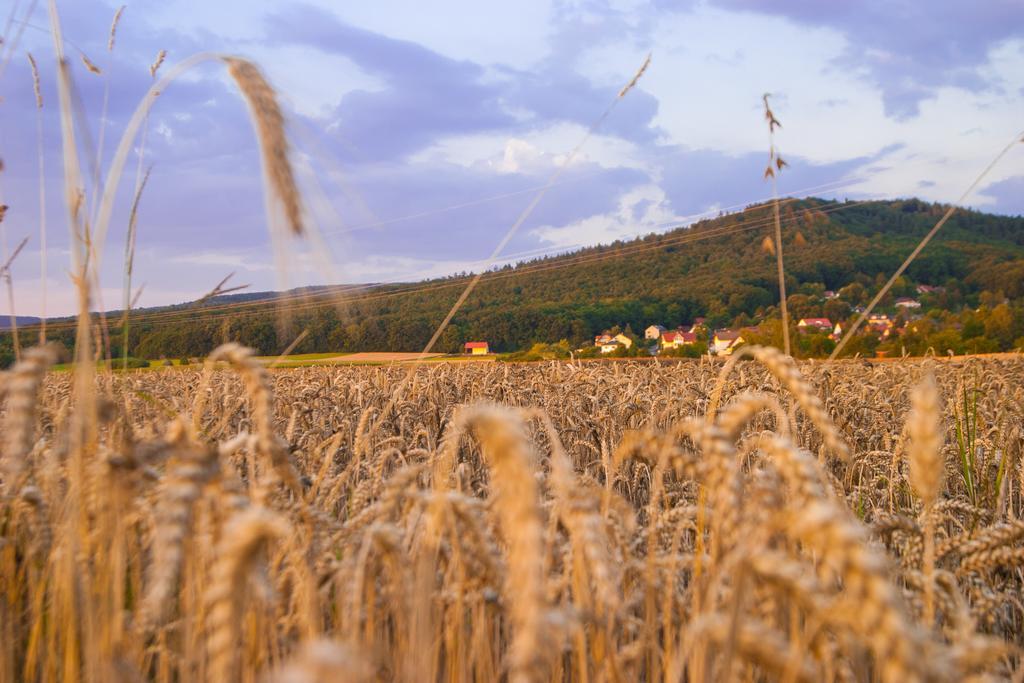 Exklusive Ferienwohnung Geisfeld Bagian luar foto